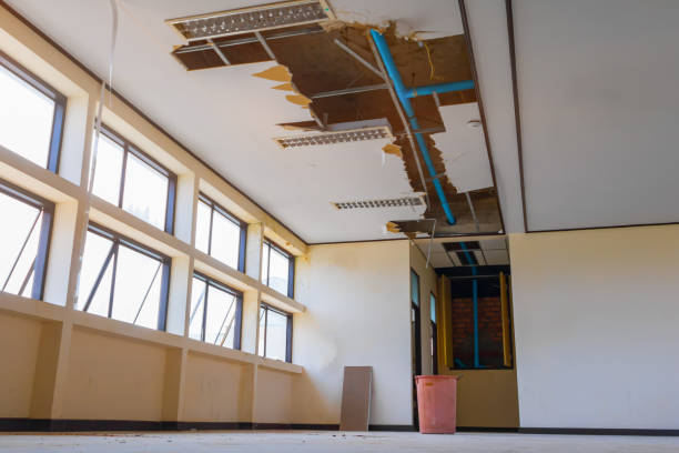 Best Emergency water damage restoration  in Anderson, MO