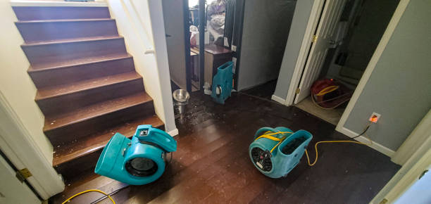 Best Professional water damage repair  in Anderson, MO