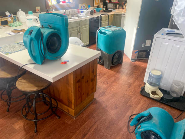 Best Sewage cleanup and water damage restoration  in Anderson, MO