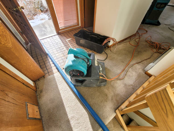 Best 24/7 water damage repair  in Anderson, MO
