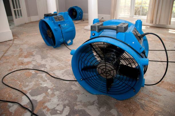 Best Water damage restoration near me  in Anderson, MO
