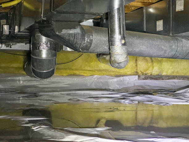Best Water damage cleanup near me  in Anderson, MO