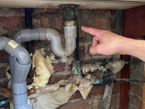Best Local water damage restoration  in Anderson, MO