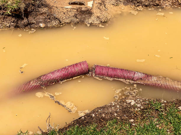 Best Water damage restoration process  in Anderson, MO